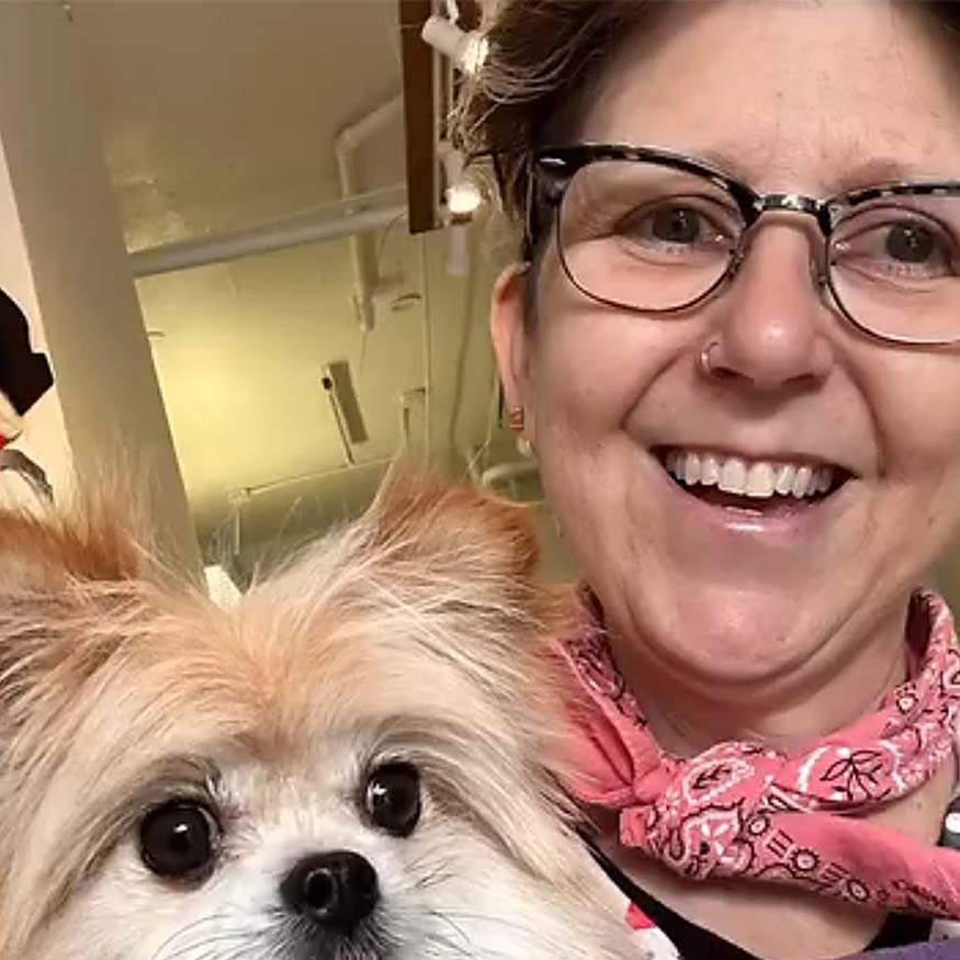 The Wag Shop—Denver, Colorado